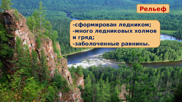 Рельеф -сформирован ледником; -много ледниковых холмов и гряд; -заболоченные равнины. 