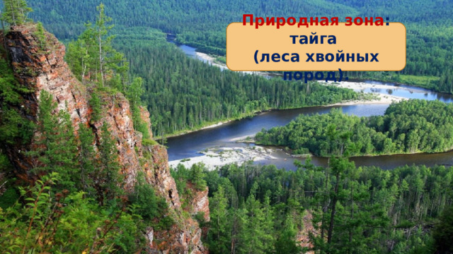 Природная зона : тайга (леса хвойных пород). 