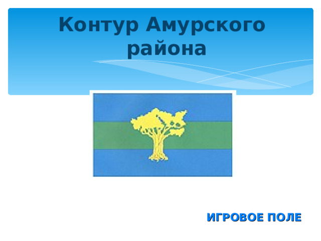 Контур Амурского района  ИГРОВОЕ ПОЛЕ 