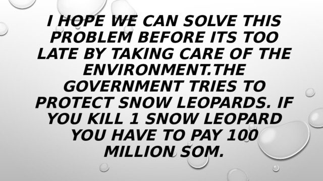I hope we can solve this problem before its too late by taking care of the environment.the government tries to protect snow leopards. If you kill 1 snow leopard you have to pay 100 million som. 