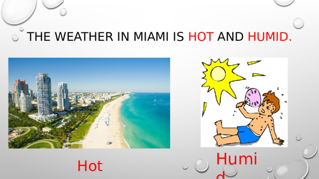 The weather in miami is hot and humid. Humid Hot 
