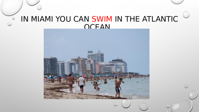 In Miami you can swim In the Atlantic Ocean. 