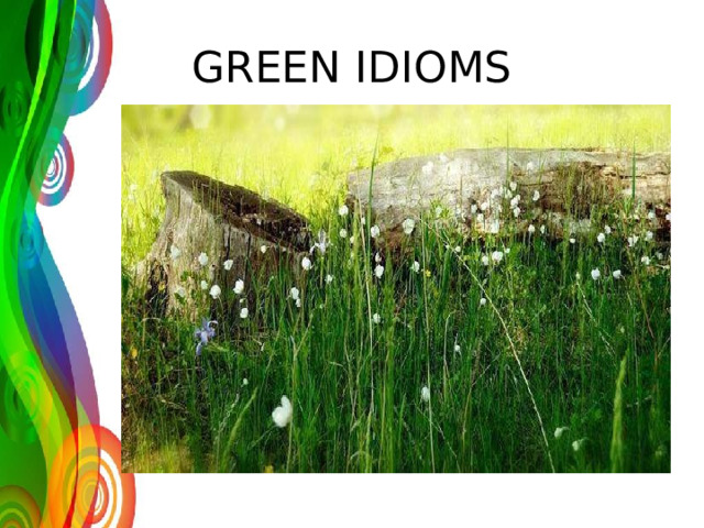 GREEN IDIOMS 