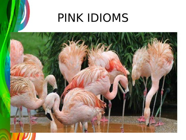 PINK IDIOMS 