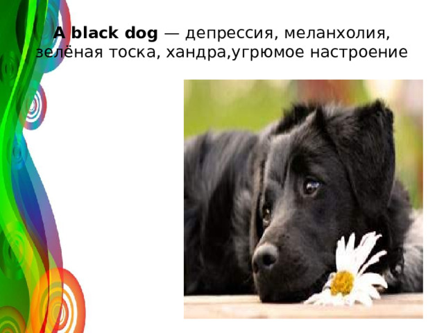 A black dog — депрессия, меланхолия, зелёная тоска, хандра,угрюмое настроение 