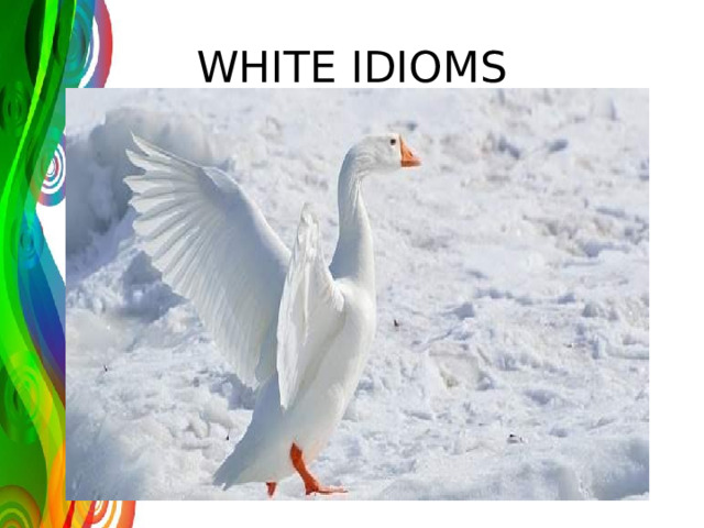 WHITE IDIOMS 