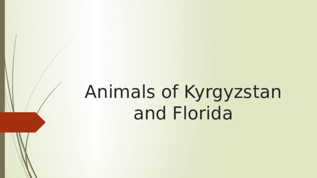 Animals of Kyrgyzstan and Florida 