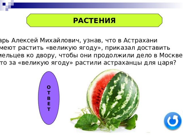 РАСТЕНИЯ Царь Алексей Михайлович, узнав, что в Астрахани  умеют растить «великую ягоду», приказал доставить умельцев ко двору, чтобы они продолжили дело в Москве.  Что за «великую ягоду» растили астраханцы для царя? О Т В Е Т 
