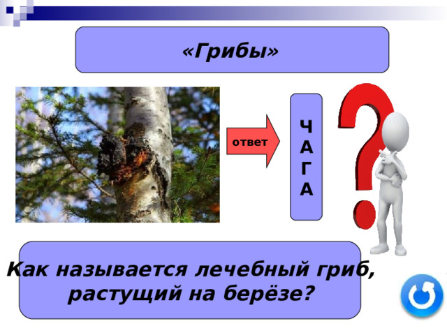 Ч А Г А «Грибы»  ответ Как называется лечебный гриб,  растущий на берёзе?  