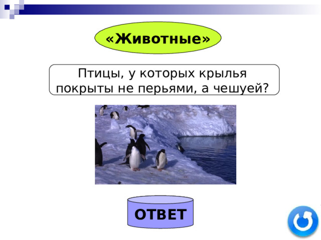 «Животные» Птицы, у которых крылья покрыты не перьями, а чешуей?  ОТВЕТ 