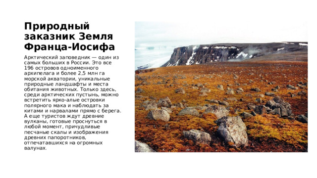 Природный заказник Земля Франца-Иосифа Арктический заповедник — один из самых больших в России. Это все 196 островов одноименного архипелага и более 2,5 млн га морской акватории, уникальные природные ландшафты и места обитания животных. Только здесь, среди арктических пустынь, можно встретить ярко-алые островки полярного мака и наблюдать за китами и нарвалами прямо с берега. А еще туристов ждут древние вулканы, готовые проснуться в любой момент, причудливые песчаные скалы и изображения древних папоротников, отпечатавшихся на огромных валунах . 