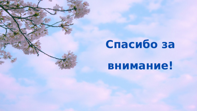 Спасибо за внимание! 