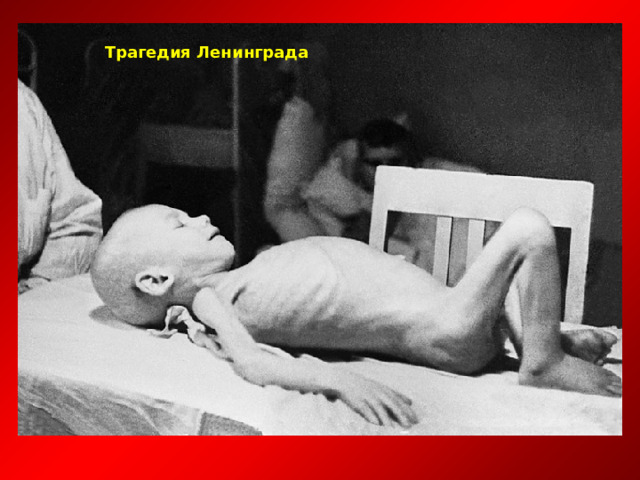 Трагедия Ленинграда 