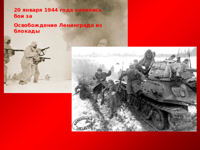 20 января 1944 года начались бои за Освобождение Ленинграда из блокады 