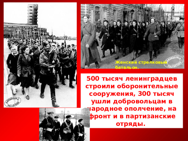 Женский стрелковый батальон.   500 тысяч ленинградцев строили оборонительные сооружения, 300 тысяч ушли добровольцам в народное ополчение, на фронт и в партизанские отряды. 