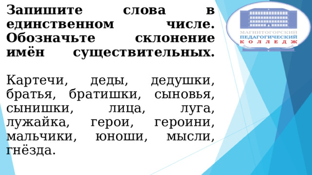 Запишите слова в единственном числе. Обозначьте склонение имён существительных.   Картечи, деды, дедушки, братья, братишки, сыновья, сынишки, лица, луга, лужайка, герои, героини, мальчики, юноши, мысли, гнёзда. 