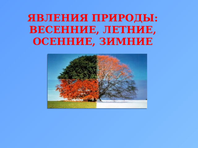 ЯВЛЕНИЯ ПРИРОДЫ: ВЕСЕННИЕ, ЛЕТНИЕ, ОСЕННИЕ, ЗИМНИЕ 
