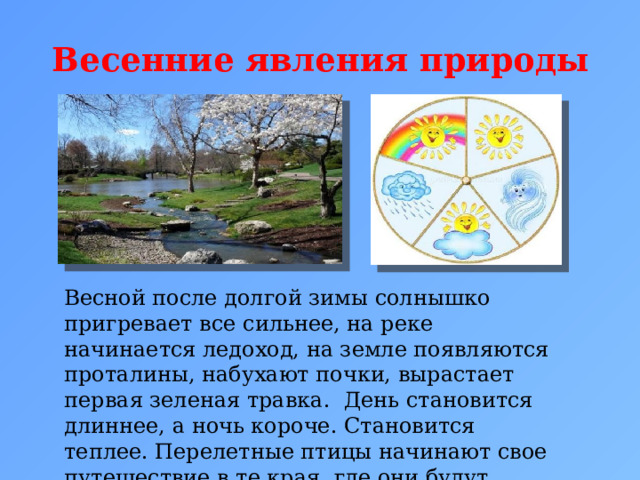 Весенние явления природы Весной после долгой зимы солнышко пригревает все сильнее, на реке начинается ледоход, на земле появляются проталины, набухают почки, вырастает первая зеленая травка. День становится длиннее, а ночь короче. Становится теплее. Перелетные птицы начинают свое путешествие в те края, где они будут выращивать своих птенцов. 