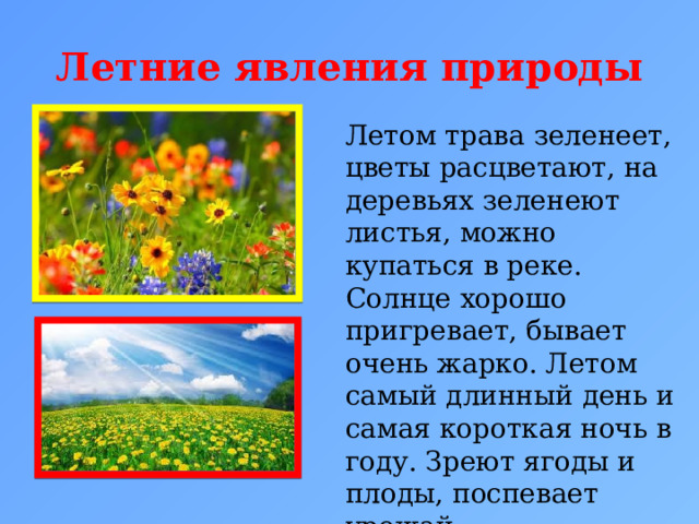 Летние явления природы Летом трава зеленеет, цветы расцветают, на деревьях зеленеют листья, можно купаться в реке. Солнце хорошо пригревает, бывает очень жарко. Летом самый длинный день и самая короткая ночь в году. Зреют ягоды и плоды, поспевает урожай. 