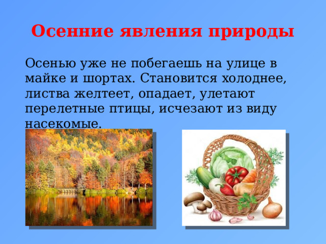Осенние явления природы Осенью уже не побегаешь на улице в майке и шортах. Становится холоднее, листва желтеет, опадает, улетают перелетные птицы, ­исчезают из виду насекомые.  