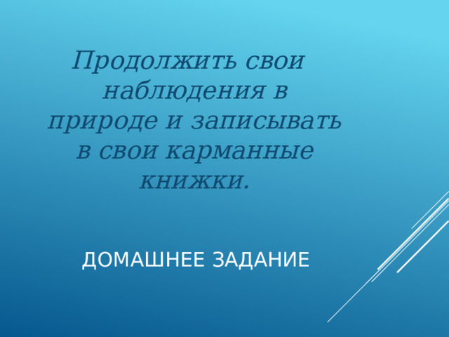 Продолжить свои наблюдения в природе и записывать в свои карманные книжки.  Домашнее задание 