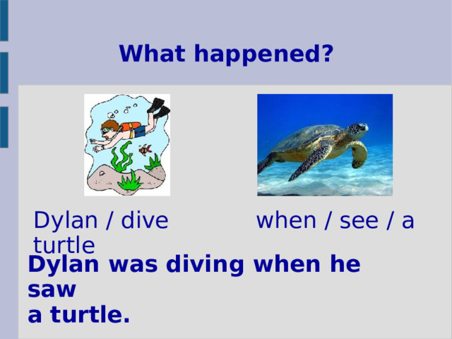 What happened? Dylan / dive when / see / a turtle Dylan was diving when he saw  a turtle. 