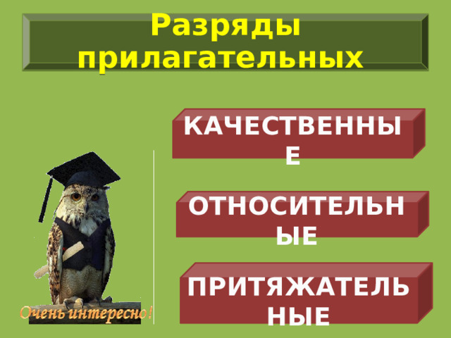 Разряды прилагательных КАЧЕСТВЕННЫЕ ОТНОСИТЕЛЬНЫЕ ПРИТЯЖАТЕЛЬНЫЕ 