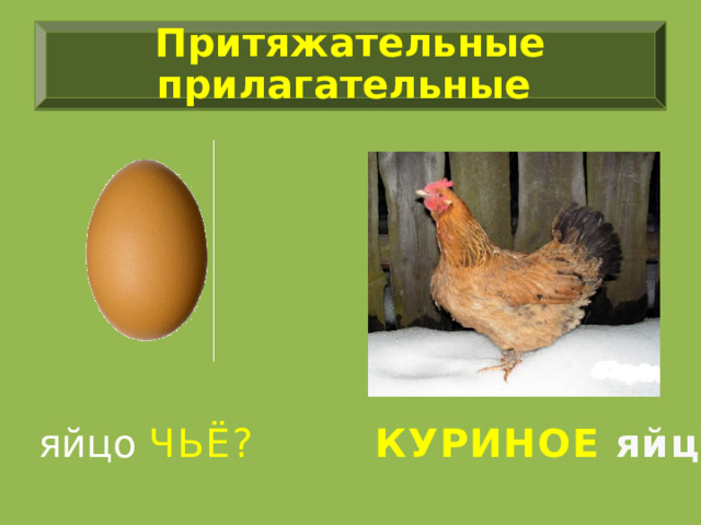 Притяжательные прилагательные яйцо ЧЬЁ?  КУРИНОЕ яйцо 