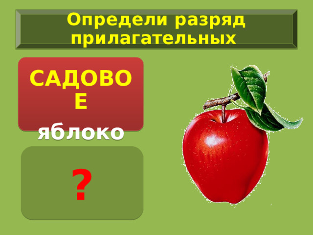 Определи разряд прилагательных  САДОВОЕ яблоко ? 
