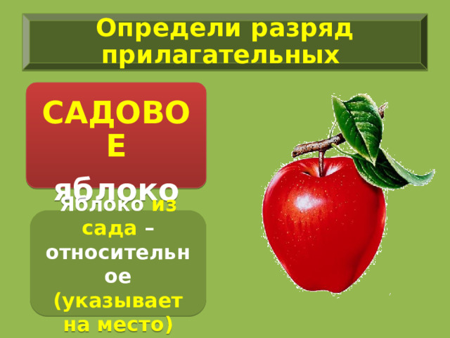 Определи разряд прилагательных  САДОВОЕ яблоко Яблоко из сада – относительное (указывает на место) 