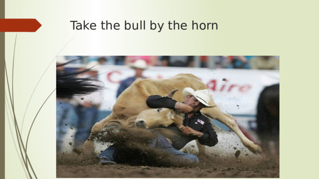 Take the bull by the horn 