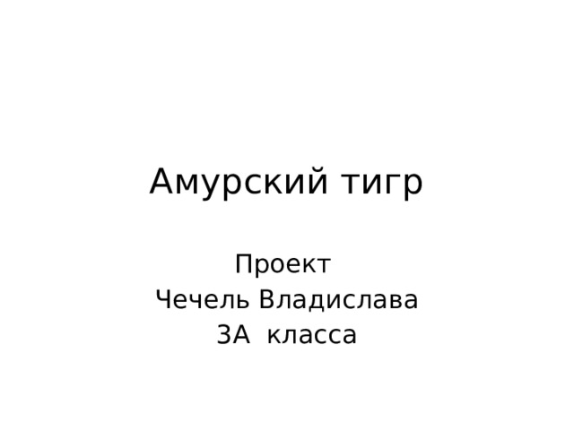 Амурский тигр Проект Чечель Владислава 3А класса 