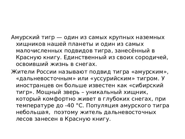 Амурский тигр — один из самых крупных наземных хищников нашей планеты и один из самых малочисленных подвидов тигра, занесённый в Красную книгу. Единственный из своих сородичей, освоивший жизнь в снегах. Жители России называют подвид тигра «амурским», «дальневосточным» или «уссурийским» тигром. У иностранцев он больше известен как «сибирский тигр». Мощный зверь – уникальный хищник, который комфортно живет в глубоких снегах, при температуре до -40 °С. Популяция амурского тигра небольшая,  поэтому житель дальневосточных лесов занесен в Красную книгу. 