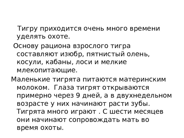   Тигру приходится очень много времени уделять охоте.   Основу рациона взрослого тигра составляют изюбр, пятнистый олень, косули, кабаны, лоси и мелкие млекопитающие. Маленькие тигрята питаются материнским молоком.  Глаза тигрят открываются примерно через 9 дней, а в двухнедельном возрасте у них начинают расти зубы. Тигрята много играют . С шести месяцев они начинают сопровождать мать во время охоты. 
