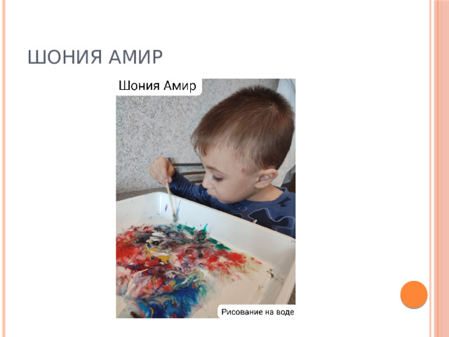 Шония Амир 