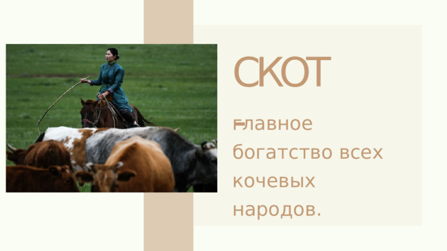 СКОТ - главное  богатство всех  кочевых народов. 