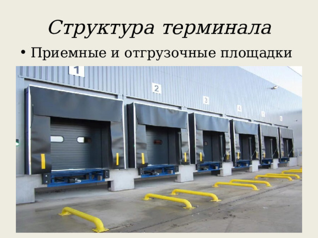 Структура терминала Приемные и отгрузочные площадки 