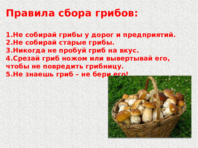 Правила сбора грибов:  1.Не собирай грибы у дорог и предприятий. 2.Не собирай старые грибы. 3.Никогда не пробуй гриб на вкус. 4.Срезай гриб ножом или вывертывай его, чтобы не повредить грибницу. 5.Не знаешь гриб – не бери его! 
