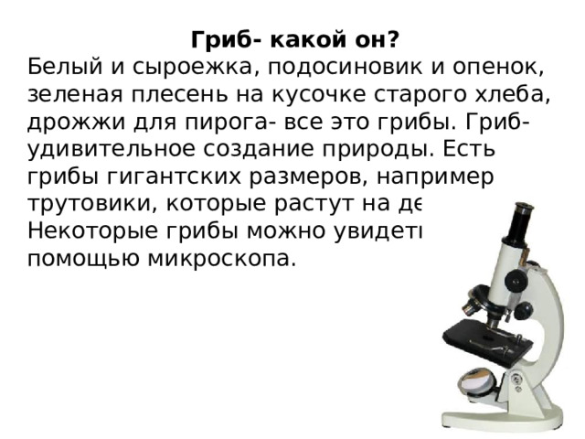 Гриб- какой он? Белый и сыроежка, подосиновик и опенок, зеленая плесень на кусочке старого хлеба, дрожжи для пирога- все это грибы. Гриб- удивительное создание природы. Есть грибы гигантских размеров, например трутовики, которые растут на деревьях. Некоторые грибы можно увидеть только с помощью микроскопа. 