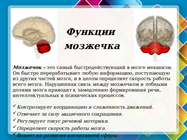  Функции мозжечка Мозжечок  – это самый быстродействующий в мозге механизм. Он быстро перерабатывает любую информацию, поступающую из других частей мозга, и в целом определяет скорость работы всего мозга. Нарушенная связь между мозжечком и лобными долями мозга приводит к замедлению формирования речи, интеллектуальных и психических процессов.   Контролирует координацию и слаженность движений.  Отвечает за силу мышечного сокращения.  Регулирует тонус речевой моторики.  Определяет скорость работы мозга.  Влияет на развитие когнитивной сферы.  Регулирует сенсорное и пространственное восприятие.  