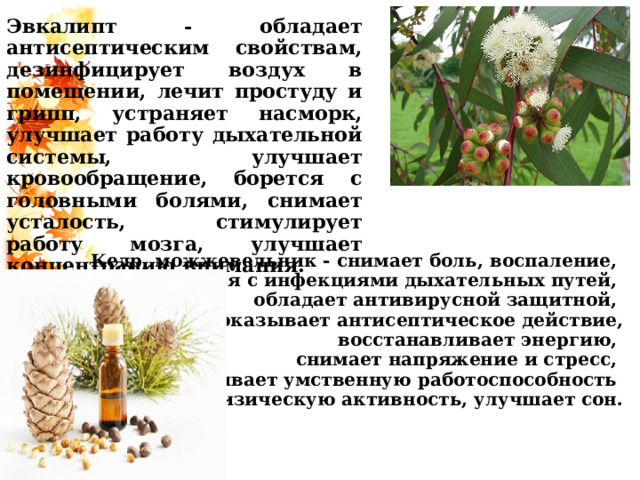 Эвкалипт - обладает антисептическим свойствам, дезинфицирует воздух в помещении, лечит простуду и грипп, устраняет насморк, улучшает работу дыхательной системы, улучшает кровообращение, борется с головными болями, снимает усталость, стимулирует работу мозга, улучшает концентрацию внимания.  Кедр, можжевельник - снимает боль, воспаление, борется с инфекциями дыхательных путей, обладает антивирусной защитной, оказывает антисептическое действие,  восстанавливает энергию, снимает напряжение и стресс, увеличивает умственную работоспособность и физическую активность, улучшает сон.  