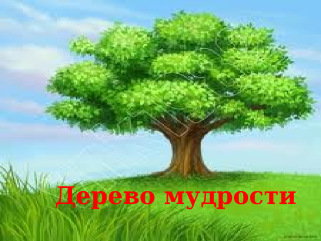 Дерево мудрости 