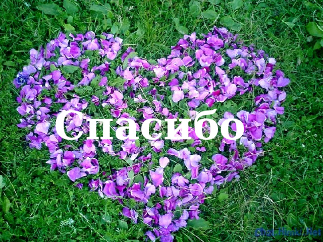 Спасибо 