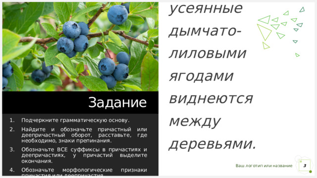 Кустики голубики усеянные дымчато-лиловыми ягодами виднеются между деревьями. Задание Подчеркните грамматическую основу. Найдите и обозначьте причастный или деепричастный оборот, расставьте, где необходимо, знаки препинания. Обозначьте ВСЕ суффиксы в причастиях и деепричастиях, у причастий выделите окончания. Обозначьте морфологические признаки причастия или деепричастия. 1 1 