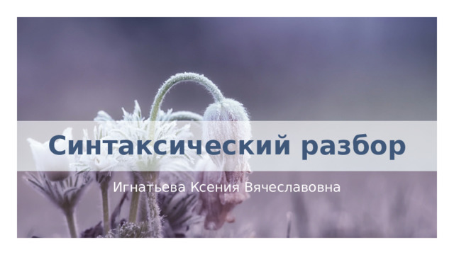 Синтаксический разбор Игнатьева Ксения Вячеславовна 1 