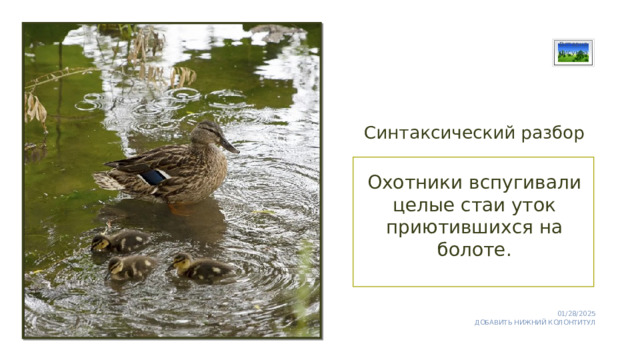 Вставка рисунка Синтаксический разбор Охотники вспугивали целые стаи уток приютившихся на болоте. 01/28/2025 ДОБАВИТЬ НИЖНИЙ КОЛОНТИТУЛ 1 