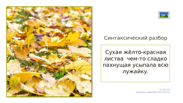 Вставка рисунка Синтаксический разбор Сухая жёлто-красная листва чем-то сладко пахнущая усыпала всю лужайку. 01/28/2025 ДОБАВИТЬ НИЖНИЙ КОЛОНТИТУЛ 1 