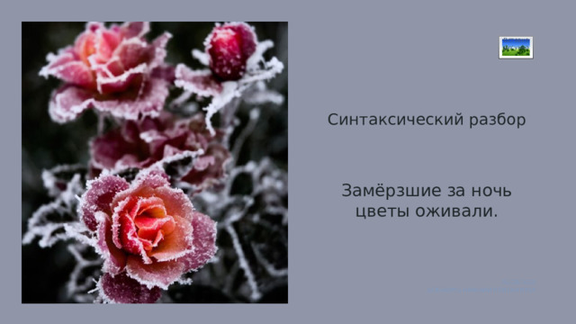 Вставка рисунка Синтаксический разбор Замёрзшие за ночь цветы оживали. 01/28/2025 ДОБАВИТЬ НИЖНИЙ КОЛОНТИТУЛ 1 