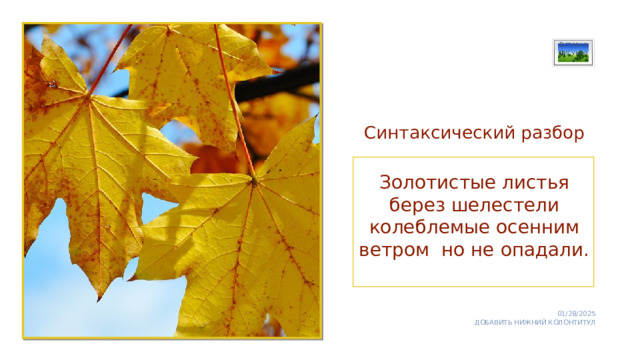 Вставка рисунка Синтаксический разбор Золотистые листья берез шелестели колеблемые осенним ветром но не опадали. 01/28/2025 ДОБАВИТЬ НИЖНИЙ КОЛОНТИТУЛ 1 