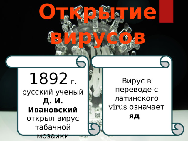 Открытие вирусов 1892 г. русский ученый Д. И. Ивановский открыл вирус табачной мозаики Вирус в переводе с латинского virus означает яд  